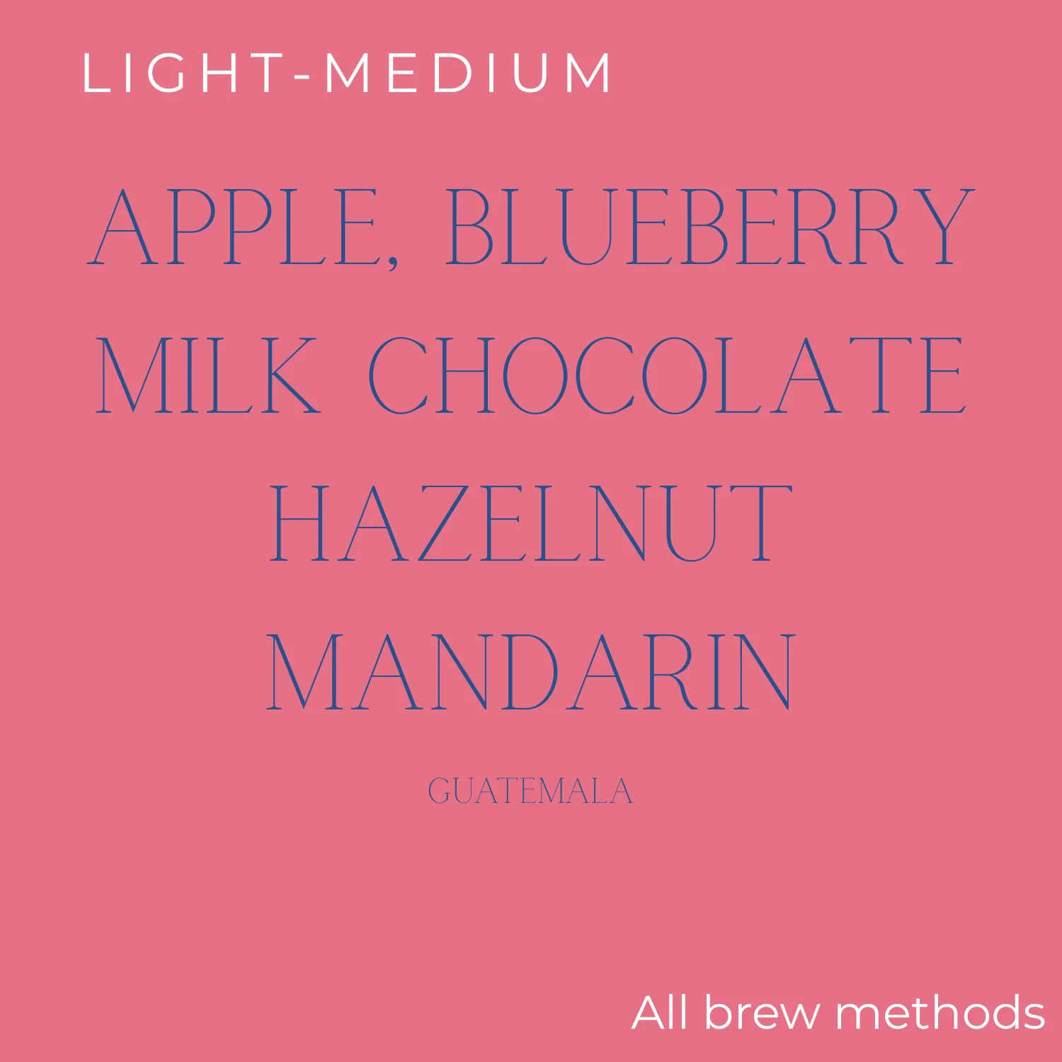 Rogue Wave Coffee Roasters Rogue Wave - Guatemala - Huehuetenango Primavera Family Lot (2026) Coffee Beans - Image 2